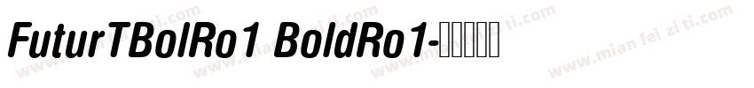FuturTBolRo1 BoldRo1字体转换